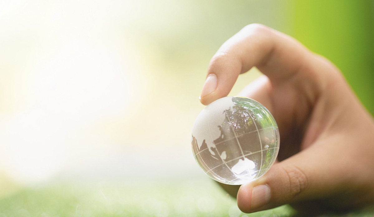 Raccolta differenziata